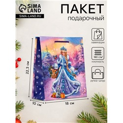 Пакет подарочный новогодний ламинированный, «Снегурочка ждет Деда Мороза», 18×10×22.3 см