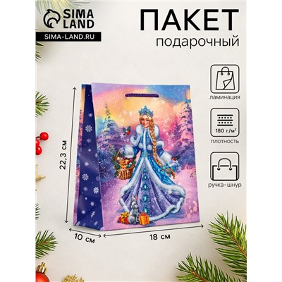 Пакет подарочный новогодний ламинированный, «Снегурочка ждет Деда Мороза», 18×10×22.3 см