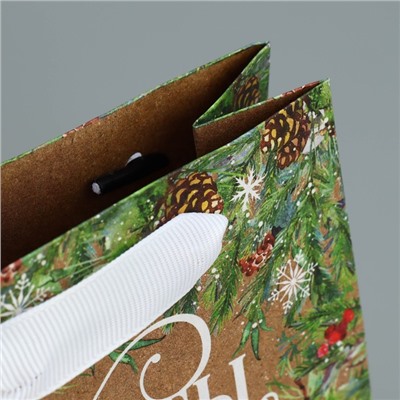 Пакет подарочный новогодний крафтовый «Пусть мечты сбудутся», S 12×15×5.5 см