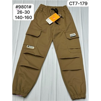 штаны 2050788-1