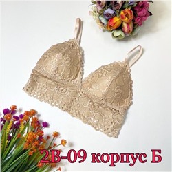 топ