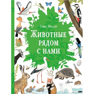 АСТ Томас Мюллер "Животные рядом с нами"
