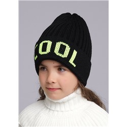 CLEVER Шапка