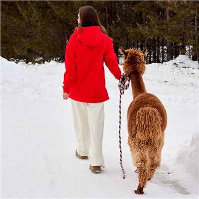 Худи женское MIST Cozy style, красное, размер 58