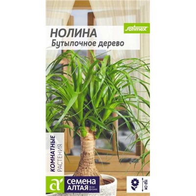 Нолина Бутылочное Дерево комнатн.