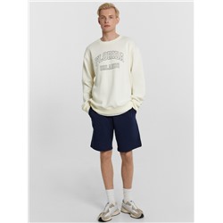 ШОРТЫ МУЖСКИЕ 131080