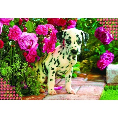 УЦЕНКА Алмазная вышивка «Далматинец» 22×32 см, холст, пинцет, ёмкость