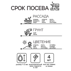 Семена цветов Пеларгония «Дансер Ред», зональная, 3 шт., «Семена Алтая»