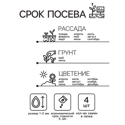 Семена цветов Пеларгония "Дансер Ред", зональная, Сем. Алт, ц/п, 4 шт