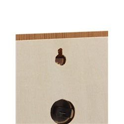 Термометр - гигрометр для бани и сауны «Вертикальный», деревянный, «Добропаровъ»