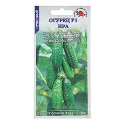 Семена Огурец "Ира F1", ультраранний, 0,3 г