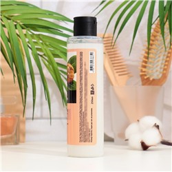 Био-шампунь для волос «Масло Карите», питание и восстановление, 250 мл