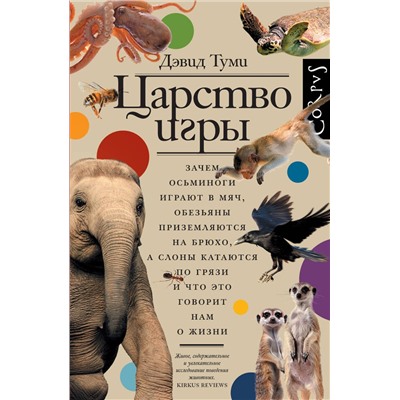 АСТ Дэвид Туми "Царство игры"