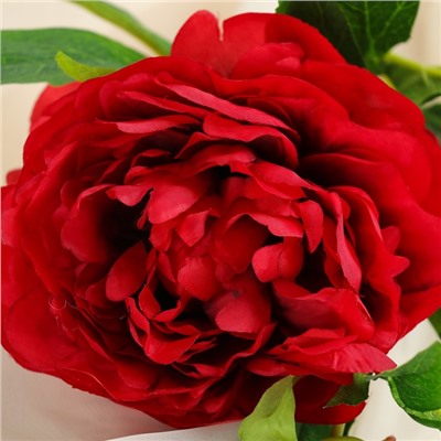 Цветы искусственные «Пион дуо», 12×60 см, красные