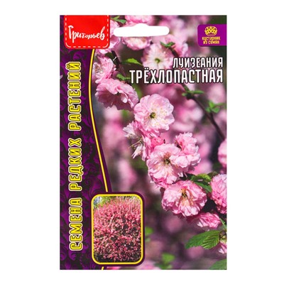 Семена цветов Луизеания Трёхлопастная (Миндаль)  3шт.  12.29 г.