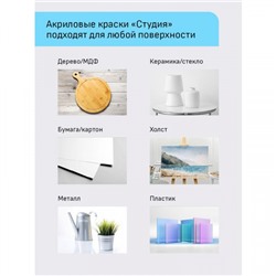 Набор акриловых красок 12цв 9 мл "Студия" в тубах 15032021 Гамма