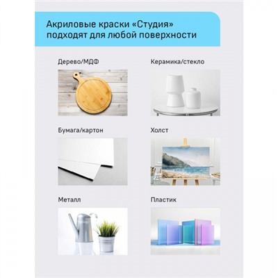 Набор акриловых красок 12цв 9 мл "Студия" в тубах 15032021 Гамма