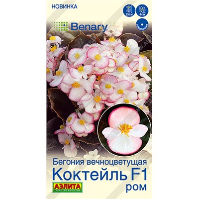 Бегония Коктейль Ром F1 (Код: 93534)