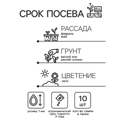 Семена Цветов Клематис тангутский «Снежный человек»,10 шт., «Уральский Дачник»