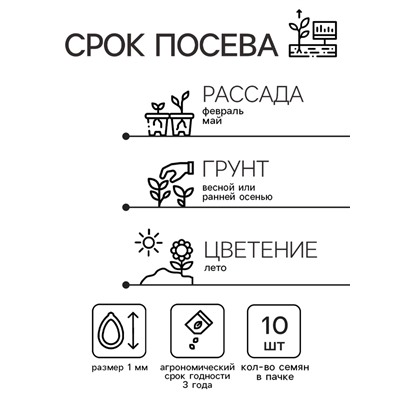 Семена Цветов Клематис тангутский «Снежный человек»,10 шт., «Уральский Дачник»
