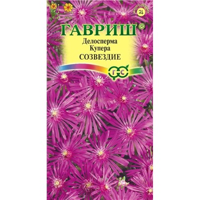 Делосперма Созвездие Мн (Гавр)