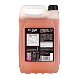 Гель для стирки Septivit Special Cherry Love, парфюмированный, для всех видов тканей, 5 л