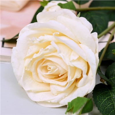 Цветы искусственные «Роза изыск», 10×64 см, белые