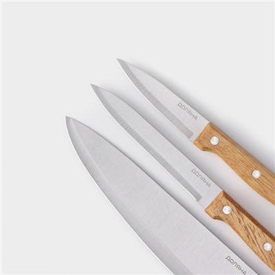 Набор кухонных ножей Доляна Wood, набор 3 шт., лезвие: 8 см, 12 см, 19.5 см, ручка деревянная