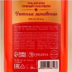 Гель для душа, 300 мл, аромат пряного глинтвейна, URAL LAB