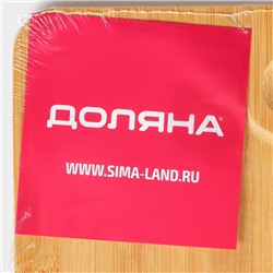 Блюдо для подачи Доляна «Бамбук», 16×16 см, квадратное, бамбук