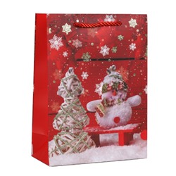 Пакет подарочный 18х24х8,5 / 5655-S /уп 12/720/Новый год