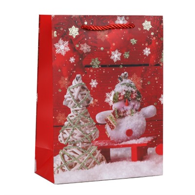 Пакет подарочный 18х24х8,5 / 5655-S /уп 12/720/Новый год