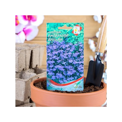 Набор семян Лобелия "Император Вильям", 5 шт.