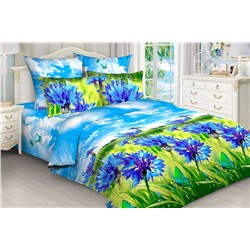 Комплект постельного белья С васильками бязь