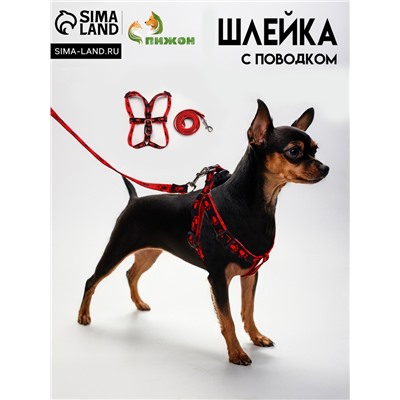 Шлейка с поводком «Большая лапа», ширина 1.5 см, поводок 120 см, шлейка 28-42 см, красная, чёрная