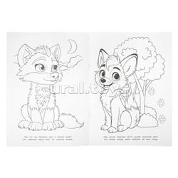 Прогулка в лесу. Чудо-раскраска