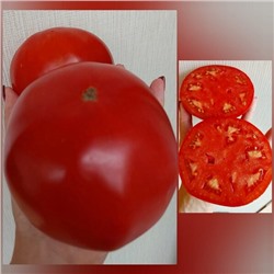 7165Т Томат Грицык 10шт