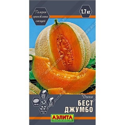 0404A Дыня Бест Джумбо 1 г