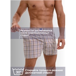 Мужские трусы семейные Berrak