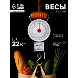 Весы-безмен механические, до 22 кг, цена деления 250 г, чёрные