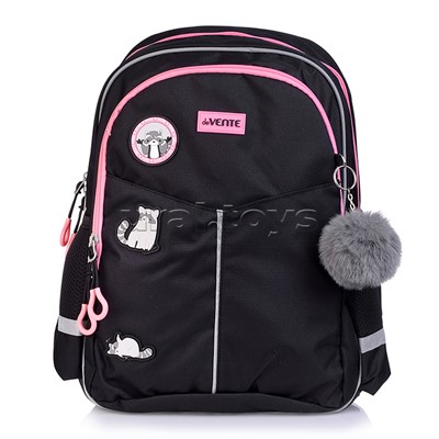 Рюкзак "Lifestyle. Pedro Raccoon" школьный 37x28x16 см (16 л) 500 г, плотный износостойкий полиэстер с водоотталкивающей пропиткой и rip-stop, 2 отделения на молнии
