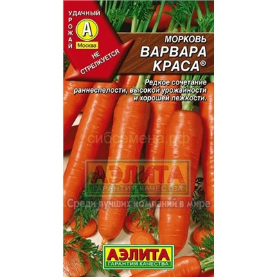 Морковь Варвара краса (Аэлита)