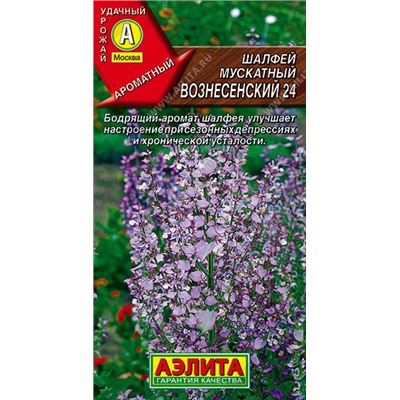 1122A Шалфей мускатный Вознесенский 24 0,2 г