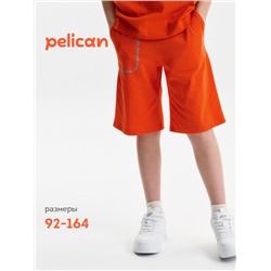 Шорты для мальчика