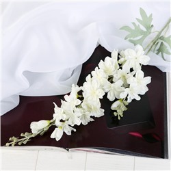 Цветы искусственные «Клематис», 6×80 см, белые