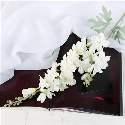 Цветы искусственные «Клематис», 6×80 см, белые