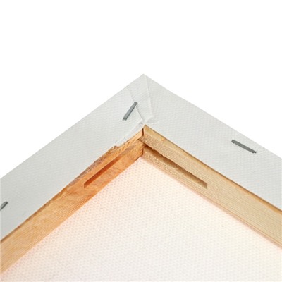 Холст на подрамнике, хлопок 100%, 1.6×20×20 см, акриловый грунт, среднезернистый, 380 г/м²