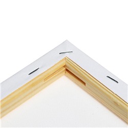 Холст на подрамнике Calligrata, хлопок 100%, 1.6×20×30 см, акриловый грунт, мелкозернистый 280 г/м²