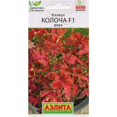 Колеус Колоча смесь F1 (Код: 93409)