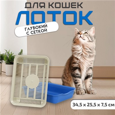 Лоток для кошек, 34.5×25.5×7.5 с, с сеткой, пластик, бежевый, синий